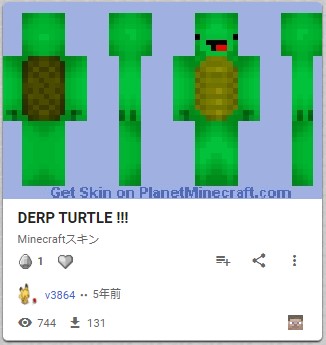 亀のスキン　DERP TURTLE！！！